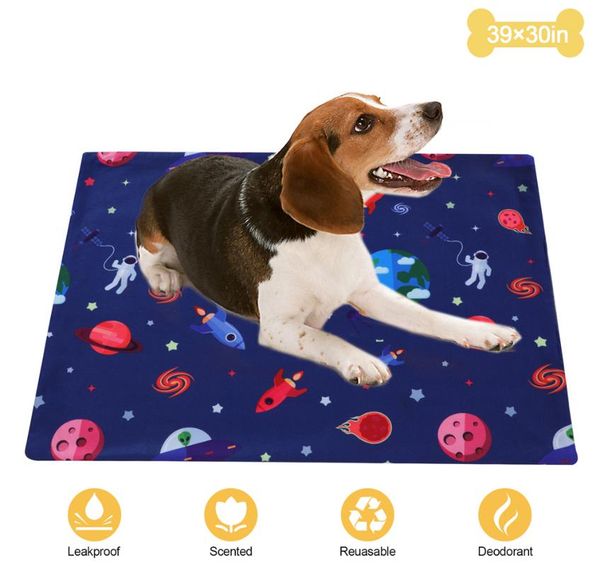 kennels & pens drop waterproof reusable dog bed mats urine pad puppy pee fast absorbing rug for pet training car sofa mat
kennels & pens drop waterproof reusable dog bed mats urine pad puppy pee fast absorbing rug for pet training car sofa mat