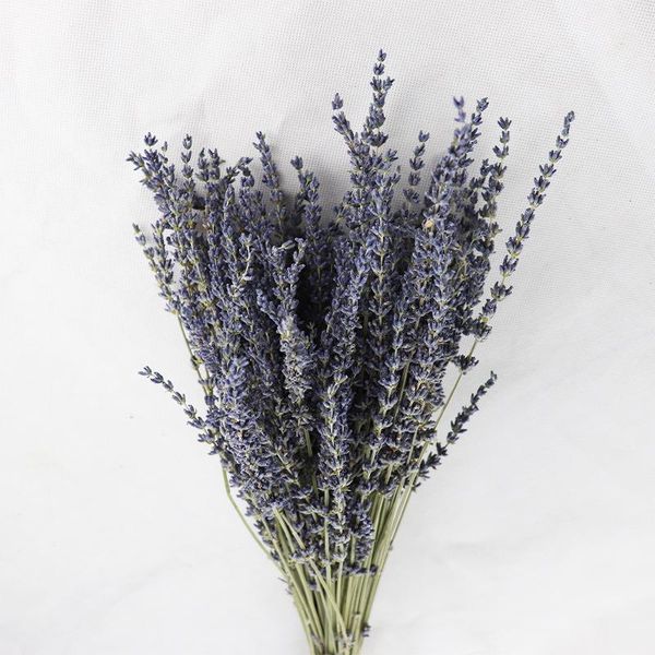 50pcs dried natural flower bouquets lavender bouquet for wedding party decoration diy immortal garden living room decor decorative flowers &
50pcs dried natural flower bouquets lavender bouquet for wedding party decoration diy immortal garden living room decor decorative flowers &
