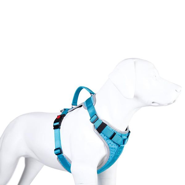 dog collars & leashes adjustable harness breathable pet for small medium large
dog collars & leashes adjustable harness breathable pet for small medium large