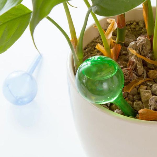 watering equipments practical pvc plant self bulb shape waterer globes automatic irrigation patio lawn garden pot planter tools
watering equipments practical pvc plant self bulb shape waterer globes automatic irrigation patio lawn garden pot planter tools
