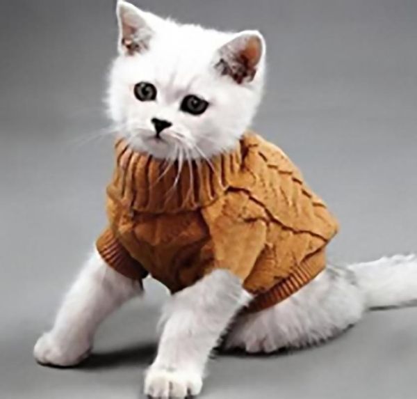 cat costumes sweater warm pet dog sweaters for small dogs medium large cute knitted classic clothes coa
cat costumes sweater warm pet dog sweaters for small dogs medium large cute knitted classic clothes coa