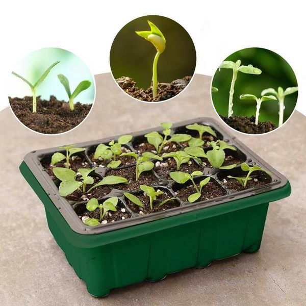 planters & pots seed starter trays nursery seedling tray humidity adjustable switch garden decor 12 cells per plant growing box
planters & pots seed starter trays nursery seedling tray humidity adjustable switch garden decor 12 cells per plant growing box