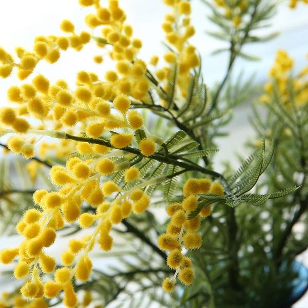 decorative flowers & wreaths flower wedding scene layout christmas decor tufting artificial jequirity bean diy home living room decoration f
decorative flowers & wreaths flower wedding scene layout christmas decor tufting artificial jequirity bean diy home living room decoration f