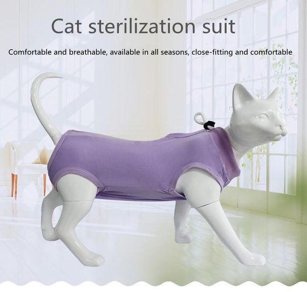 cat costumes pet clothes for cats after sterilization,weaning female cats, wound prevention cats,cat
cat costumes pet clothes for cats after sterilization,weaning female cats, wound prevention cats,cat