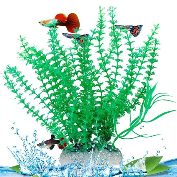 decorations aquarium plants for fish tank plant plastic artificial water grass ornament accessories acuarium plantas
decorations aquarium plants for fish tank plant plastic artificial water grass ornament accessories acuarium plantas