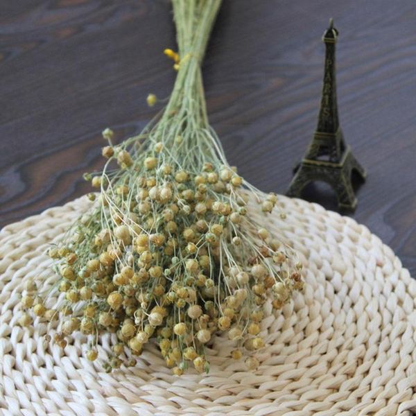 decorative flowers & wreaths acacia dried bean flower wealthy flax material gypsophila room diy home decoration gift living box imm g8k1
decorative flowers & wreaths acacia dried bean flower wealthy flax material gypsophila room diy home decoration gift living box imm g8k1