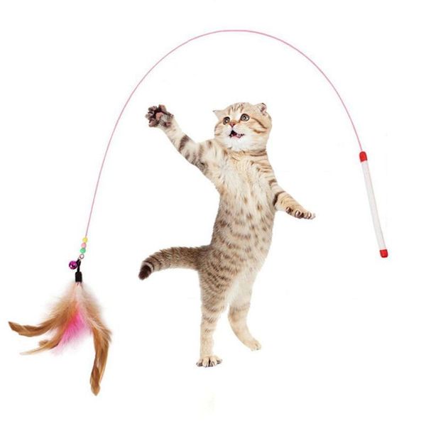 cat toys funny pet feather bell rod kitten teaser stick interactive for cats scratching playing training supplie
cat toys funny pet feather bell rod kitten teaser stick interactive for cats scratching playing training supplie