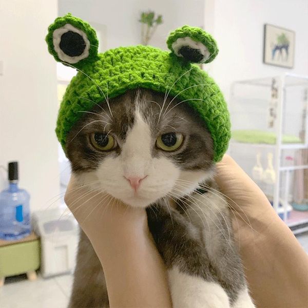 cat costumes s/m funny cute costume frog knitted cap puppy hat with eyes for cats and small dogs pets birthday po tools
cat costumes s/m funny cute costume frog knitted cap puppy hat with eyes for cats and small dogs pets birthday po tools