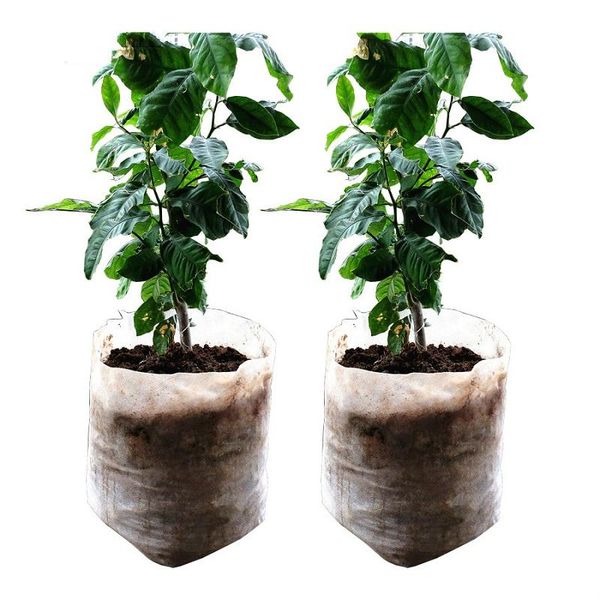 planters & pots different sizes biodegradable non-woven nursery bags plant grow fabric seedling eco-friendly aeration planting
planters & pots different sizes biodegradable non-woven nursery bags plant grow fabric seedling eco-friendly aeration planting