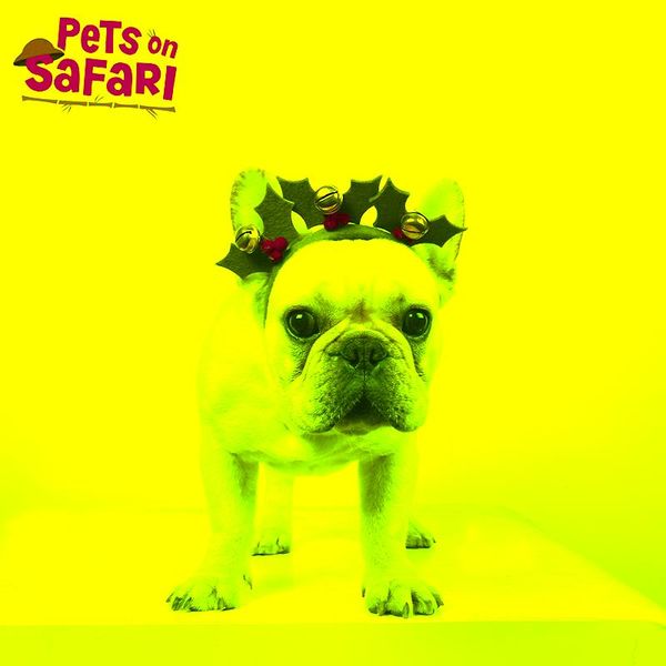 green cute christmas dog cat headband lucky bells decoration puppy hair hoop cosplay party costume festival pet accessories costumes
green cute christmas dog cat headband lucky bells decoration puppy hair hoop cosplay party costume festival pet accessories costumes