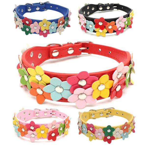 cat collars & leads flower collar cute leather studded necklaces pet for small medium 8 colors chihuahua
cat collars & leads flower collar cute leather studded necklaces pet for small medium 8 colors chihuahua