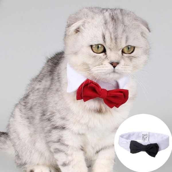 dog collars & leashes 1pc pet puppy dogs adjustable bow tie collar necktie bowknot bowtie gentleman wedding decoration accessories
dog collars & leashes 1pc pet puppy dogs adjustable bow tie collar necktie bowknot bowtie gentleman wedding decoration accessories