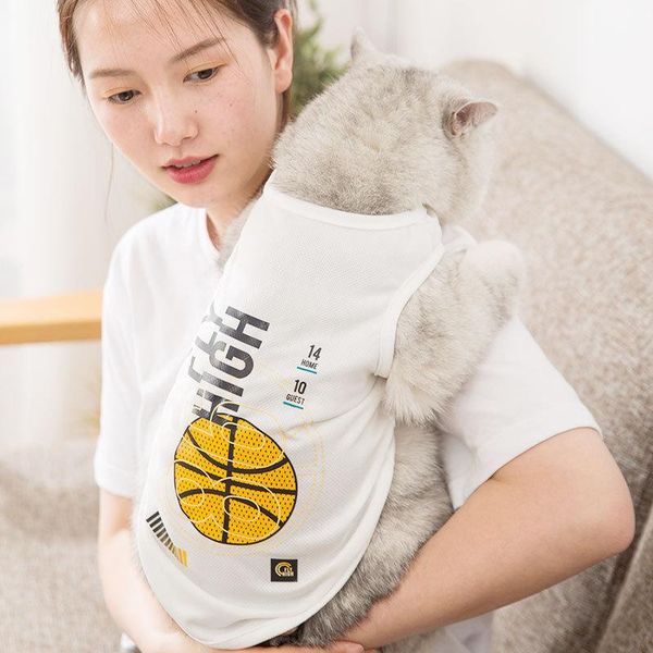pet vest mesh breathable sports style cat clothes teddy bear small dog thin kitten costumes
pet vest mesh breathable sports style cat clothes teddy bear small dog thin kitten costumes