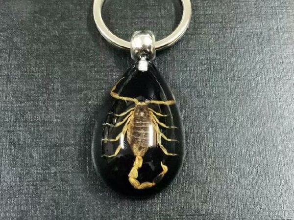 16 pcs fashion gold scorpion king vogue real insect black drop keychain, Slivery;golden
16 pcs fashion gold scorpion king vogue real insect black drop keychain, Slivery;golden