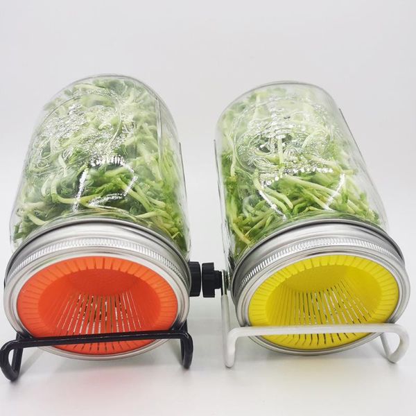 planters & pots 2pcs mason jars lid sprouting strainer lids jar fermentation with stainless steel cover for wide mouth multicolor
planters & pots 2pcs mason jars lid sprouting strainer lids jar fermentation with stainless steel cover for wide mouth multicolor