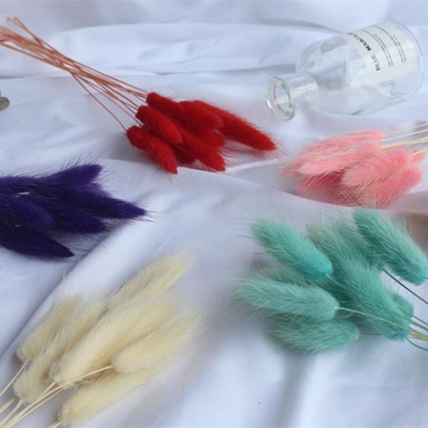 pcs/ lot natural dried flowers rose petals for decoration wedding marriage room vase taking pictures other accessories, White
pcs/ lot natural dried flowers rose petals for decoration wedding marriage room vase taking pictures other accessories, White