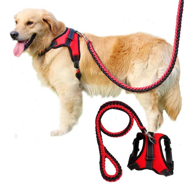 dog collars & leashes spring/autumn pet chest straps nylon collar harness pets personalized large vest supplies s/m/l/xl
dog collars & leashes spring/autumn pet chest straps nylon collar harness pets personalized large vest supplies s/m/l/xl
