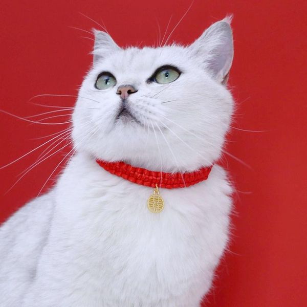 cat collars & leads pet dressing up lucky bless collar red rope neck strap braided adjustable woven kitten product est
cat collars & leads pet dressing up lucky bless collar red rope neck strap braided adjustable woven kitten product est