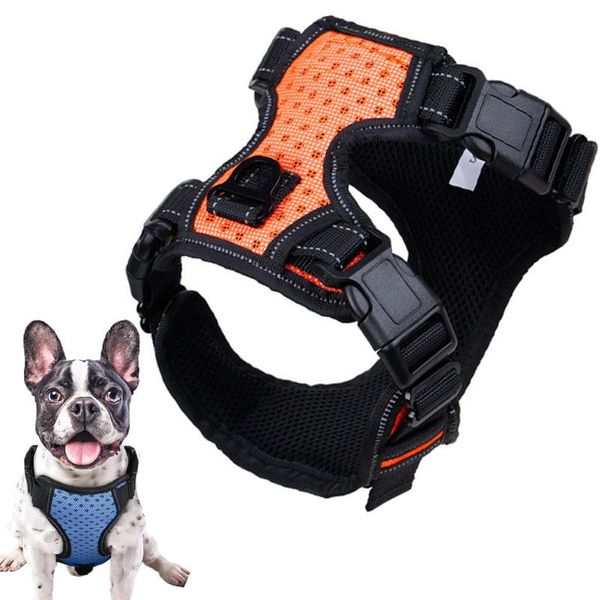 dog collars & leashes reflective collar vest harness for pet training accessories small large dogs adjustable professional
dog collars & leashes reflective collar vest harness for pet training accessories small large dogs adjustable professional