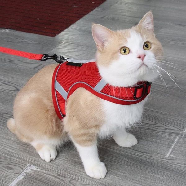 dog collars & leashes adjustable pet mesh breathable reflective chest strap traction rope small vest outdoor collar set for dogs,kittens
dog collars & leashes adjustable pet mesh breathable reflective chest strap traction rope small vest outdoor collar set for dogs,kittens