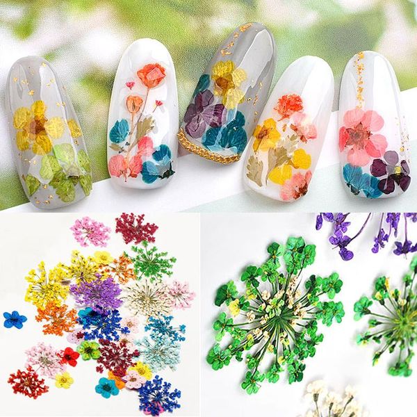 nail art decorations 12 colors dried flowers mixed 3d natural floral leaf pressed diy stickers manicure accessories, Silver;gold
nail art decorations 12 colors dried flowers mixed 3d natural floral leaf pressed diy stickers manicure accessories, Silver;gold