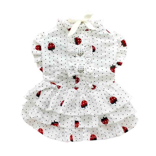 dog apparel cute pet cat clothes spring and summer models thin dress strawberry teddy bear small cake skirt
dog apparel cute pet cat clothes spring and summer models thin dress strawberry teddy bear small cake skirt
