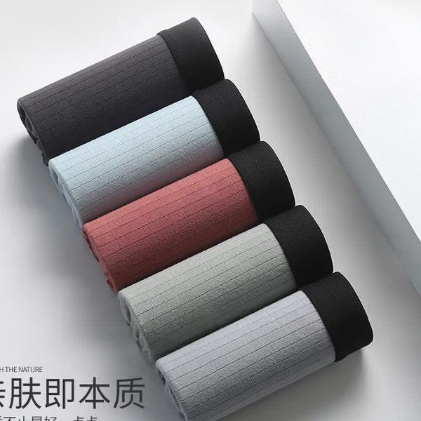 underpants 2pc pure cotton men's underwear summer flat pants breathable fashion stripe youth four corner men, Black;white
underpants 2pc pure cotton men's underwear summer flat pants breathable fashion stripe youth four corner men, Black;white