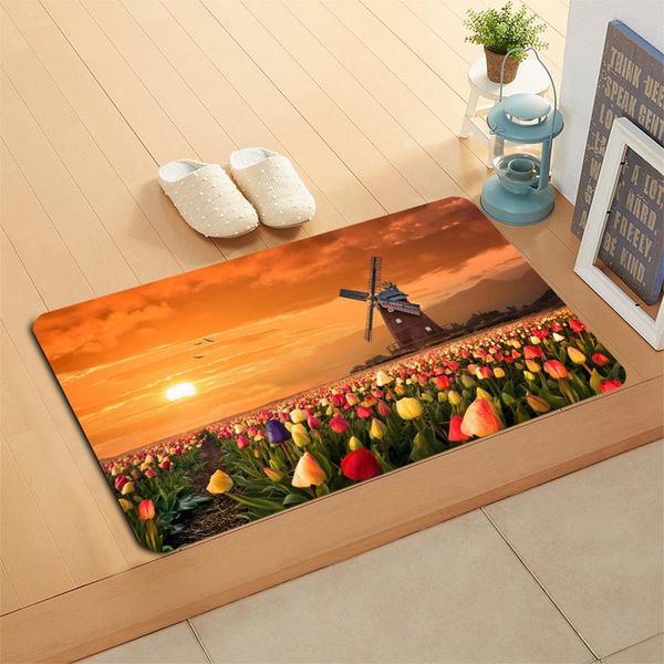 carpets custom windmill doormat floor/bath/kitchen/beach mat flannel sponge fabric 3d printed shaggy decoration for bedroom
carpets custom windmill doormat floor/bath/kitchen/beach mat flannel sponge fabric 3d printed shaggy decoration for bedroom