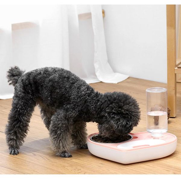 pet bowl double cat dog with raised stand supplies water for bowls feeder products & feeders
pet bowl double cat dog with raised stand supplies water for bowls feeder products & feeders