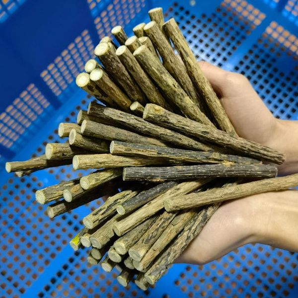 cat toys 150/200/300g natural catnip pet molar toy matatabi toothpaste tooth cleaning silvervine snack sticks 120x7-10mm
cat toys 150/200/300g natural catnip pet molar toy matatabi toothpaste tooth cleaning silvervine snack sticks 120x7-10mm