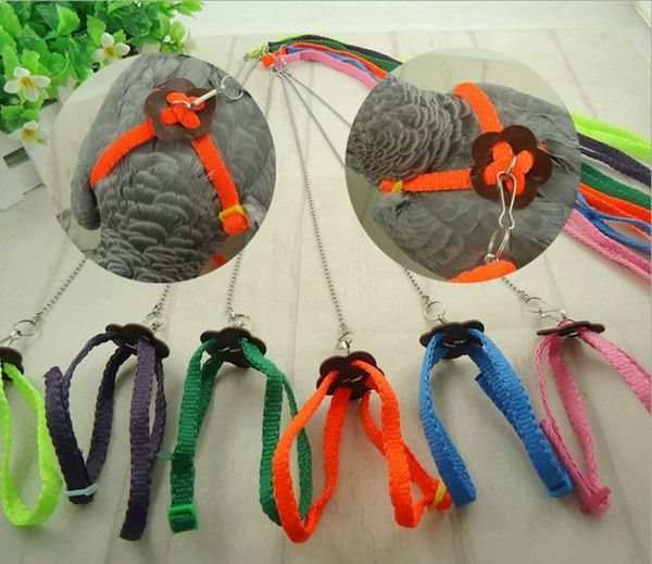 parrot bird leash outdoor adjustable harness training rope anti bite flying band random color cages
parrot bird leash outdoor adjustable harness training rope anti bite flying band random color cages