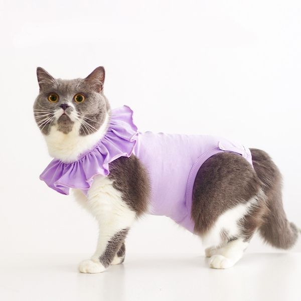 cat recovery suit sleeveless belly sterilization care suit pet kitten cat anti bite prevent lick after surgery wear summer vest
cat recovery suit sleeveless belly sterilization care suit pet kitten cat anti bite prevent lick after surgery wear summer vest