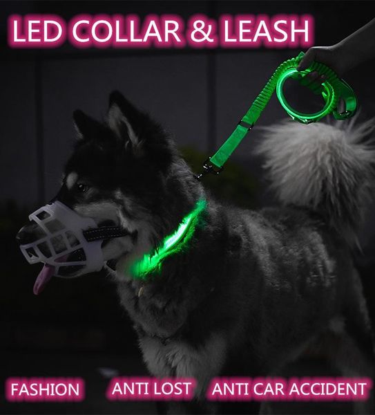 dog collars & leashes bungee nylon luminous fluorescent led light usb rechargeable night safety flashing glow in the dark pet collar leash
dog collars & leashes bungee nylon luminous fluorescent led light usb rechargeable night safety flashing glow in the dark pet collar leash