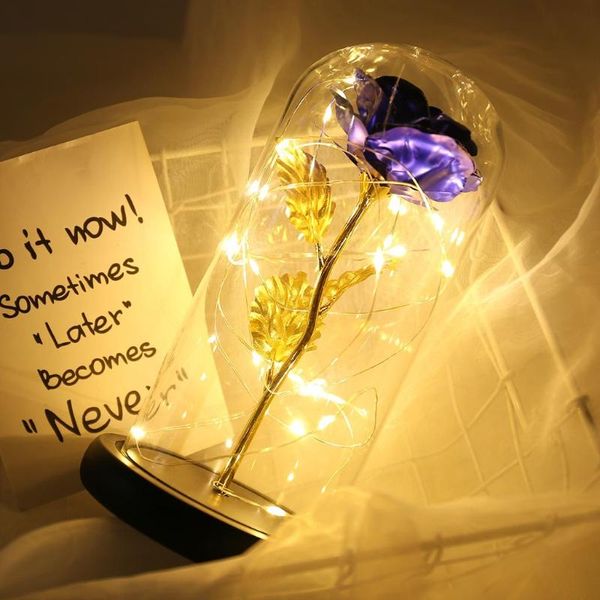 forever rose flower in glass dome with led night light lamp mothers day valentine's gifts wedding party decoration decorative flowers &
forever rose flower in glass dome with led night light lamp mothers day valentine's gifts wedding party decoration decorative flowers &