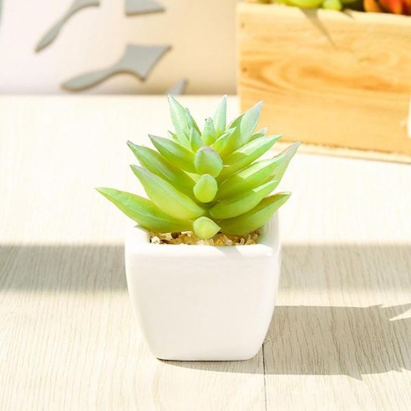 decorative flowers & wreaths simulation of succulent plants potted colorful mini for garden home office decoration deskflower pot
decorative flowers & wreaths simulation of succulent plants potted colorful mini for garden home office decoration deskflower pot