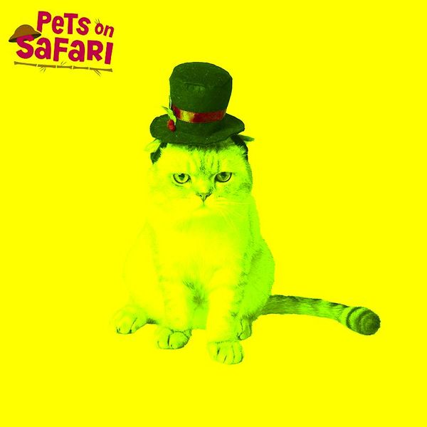 handsome black hat for cat christmas festival cosplay costume dog clothes pet accessories costumes
handsome black hat for cat christmas festival cosplay costume dog clothes pet accessories costumes