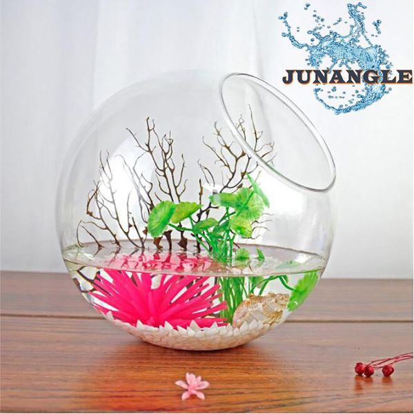 aquariums 2021 european style round vase fashion home decoration crafts creative exquisite and aesthetic beveled glass mini fish tank
aquariums 2021 european style round vase fashion home decoration crafts creative exquisite and aesthetic beveled glass mini fish tank