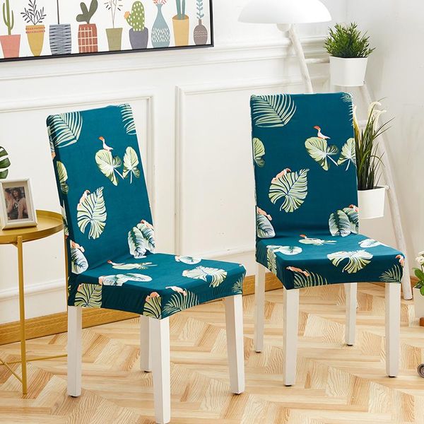 chair covers jwels 2pcs/set all-inclusive cover universal stretch el back set simple modern dining cover30
chair covers jwels 2pcs/set all-inclusive cover universal stretch el back set simple modern dining cover30