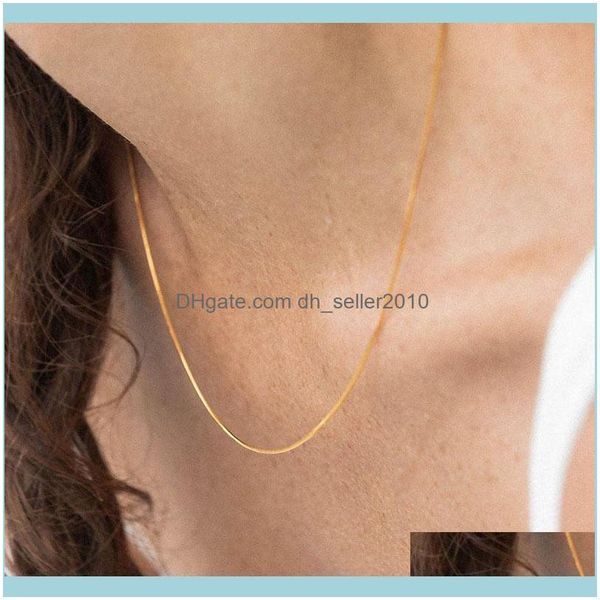 & pendants jewelrysimple thin snake chain necklaces for women gold color minimalist metal clavicle collar fashion jewelry chains drop delive, Silver
& pendants jewelrysimple thin snake chain necklaces for women gold color minimalist metal clavicle collar fashion jewelry chains drop delive, Silver