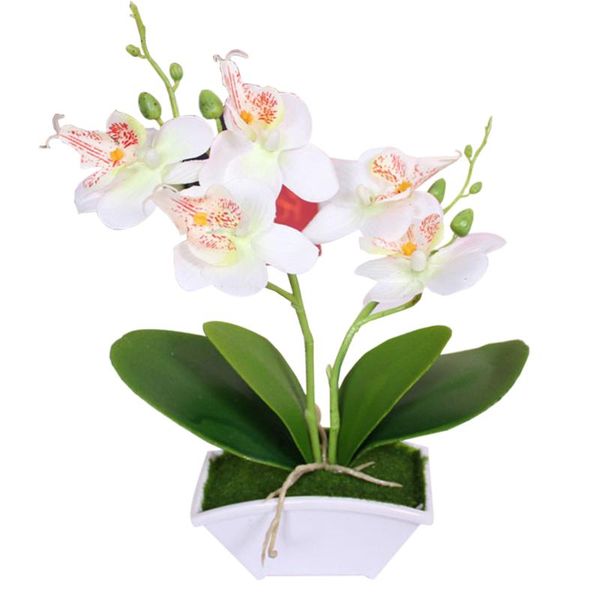 decorative flowers & wreaths potted bonsai flower artificial phalaenopsis fake plant table ornament for home wedding deskdecor with basi
decorative flowers & wreaths potted bonsai flower artificial phalaenopsis fake plant table ornament for home wedding deskdecor with basi