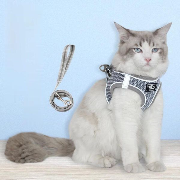 cat collars & leads vest type reflective traction rope honeycomb breathable comfortable avoid breaking of the extended walking
cat collars & leads vest type reflective traction rope honeycomb breathable comfortable avoid breaking of the extended walking