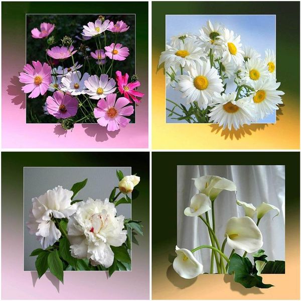 diamond painting 5d diy daisy rose flower cross stitch mosaic embroidery full round resin rhinestone home decoration
diamond painting 5d diy daisy rose flower cross stitch mosaic embroidery full round resin rhinestone home decoration
