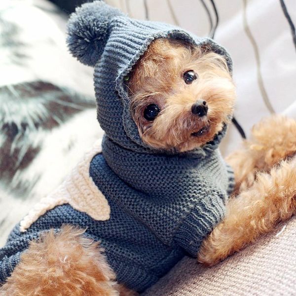 dog apparel cat puppy sweater winter clothes chihuahua yorkshire poodle bichon pomeranian schnauzer pet coat knit outfit
dog apparel cat puppy sweater winter clothes chihuahua yorkshire poodle bichon pomeranian schnauzer pet coat knit outfit