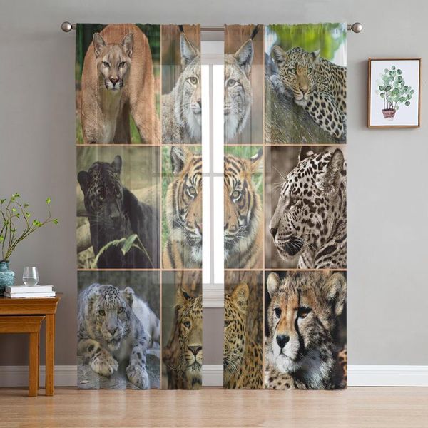 curtain & drapes animal tiger leopard lion tulle curtains decor sheer for living room bedroom kitchen home at window panels
curtain & drapes animal tiger leopard lion tulle curtains decor sheer for living room bedroom kitchen home at window panels