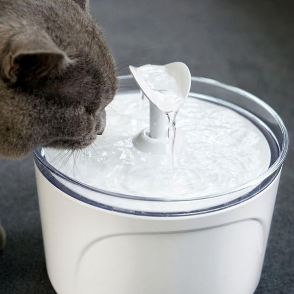 cat bowls & feeders drinking fountain electric usb dog water dispenser low sound pet feeder for home purify supplies
cat bowls & feeders drinking fountain electric usb dog water dispenser low sound pet feeder for home purify supplies