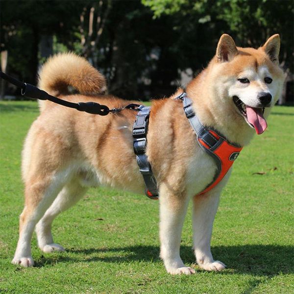 reflective explosion-proof vest type dog harness for medium and large dogs pet adjustable safety accessories collars & leashes
reflective explosion-proof vest type dog harness for medium and large dogs pet adjustable safety accessories collars & leashes