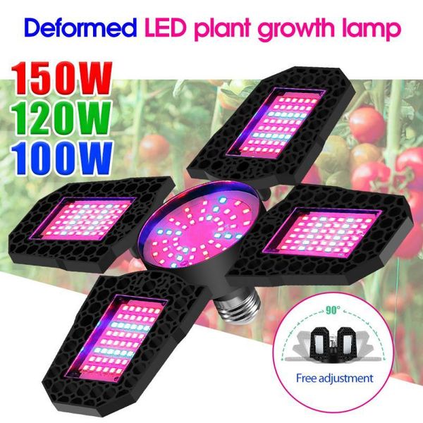 led grow light phytolamp for plant lamp full spectrum tent lights indoor lighting growth e27
led grow light phytolamp for plant lamp full spectrum tent lights indoor lighting growth e27