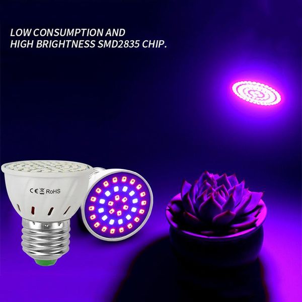 full spectrum e27 220v led plant grow light 48/60/80 beads lamp for indoor garden plants flower hydroponics tent box lights
full spectrum e27 220v led plant grow light 48/60/80 beads lamp for indoor garden plants flower hydroponics tent box lights