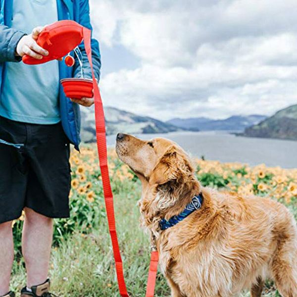 dog collars & leashes duurzaam hondenriem automatische intrekbare nylon met water fles kom uitbreiding puppy walking running leads pet
dog collars & leashes duurzaam hondenriem automatische intrekbare nylon met water fles kom uitbreiding puppy walking running leads pet