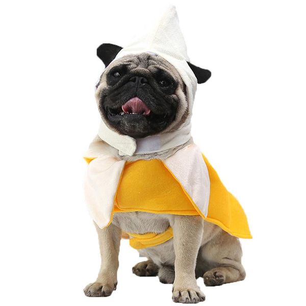 dog apparel 1pc funny pet costume banana clothes for small coat jacket vest chihuahua halloween festival dress up cosplay
dog apparel 1pc funny pet costume banana clothes for small coat jacket vest chihuahua halloween festival dress up cosplay